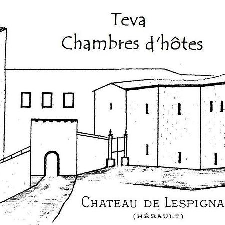 Teva Bed and Breakfast Lespignan Exteriör bild